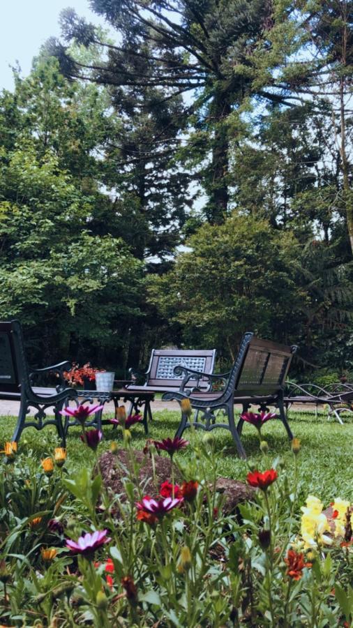 Casa Goldoni Gramadoヴィラ エクステリア 写真