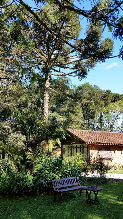 Casa Goldoni Gramadoヴィラ 部屋 写真