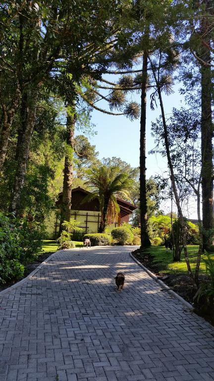 Casa Goldoni Gramadoヴィラ エクステリア 写真