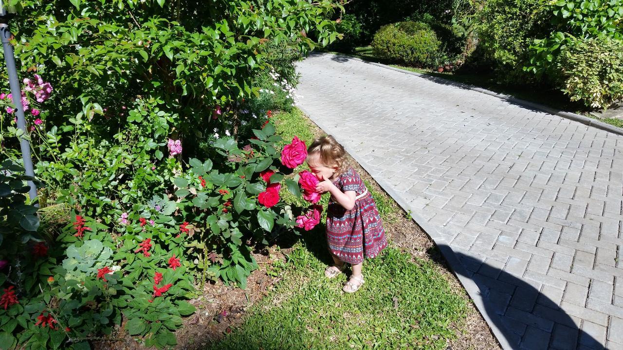 Casa Goldoni Gramadoヴィラ エクステリア 写真